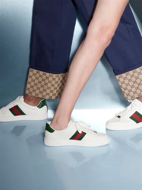 scarpe gucci indossero.